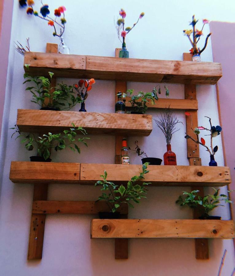 Auberge de jeunesse Maria Bonita à Guadalajara Extérieur photo